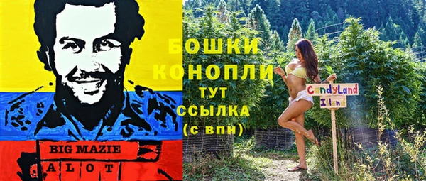MESCALINE Каменка